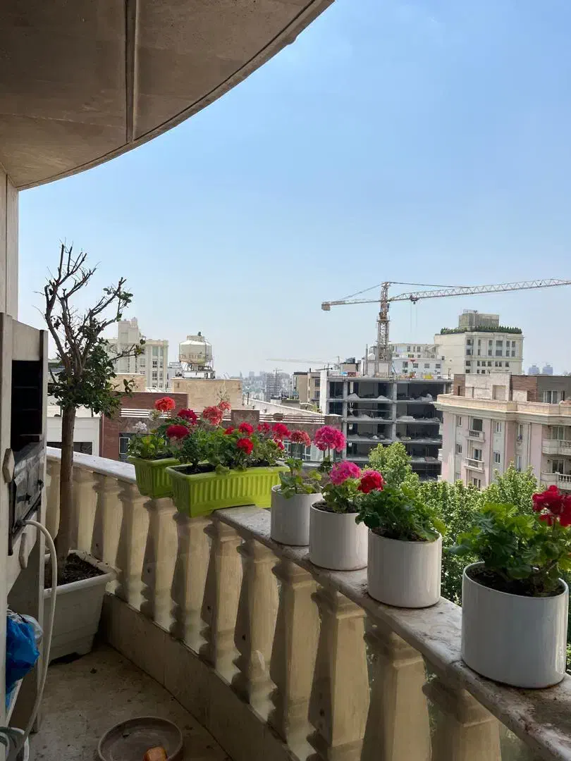 ۲۹۰ مترفرمانیه شرقی/تک واحدی/مناسب سخت پسندان|اجارهٔ آپارتمان|تهران, کامرانیه|دیوار