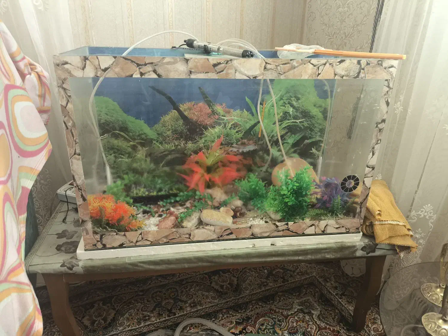 آکواریوم|ماهی|اشتهارد, |دیوار