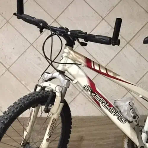 دوچرخه ۲۴ اصل تایوانی|دوچرخه، اسکیت، اسکوتر|کیش, |دیوار