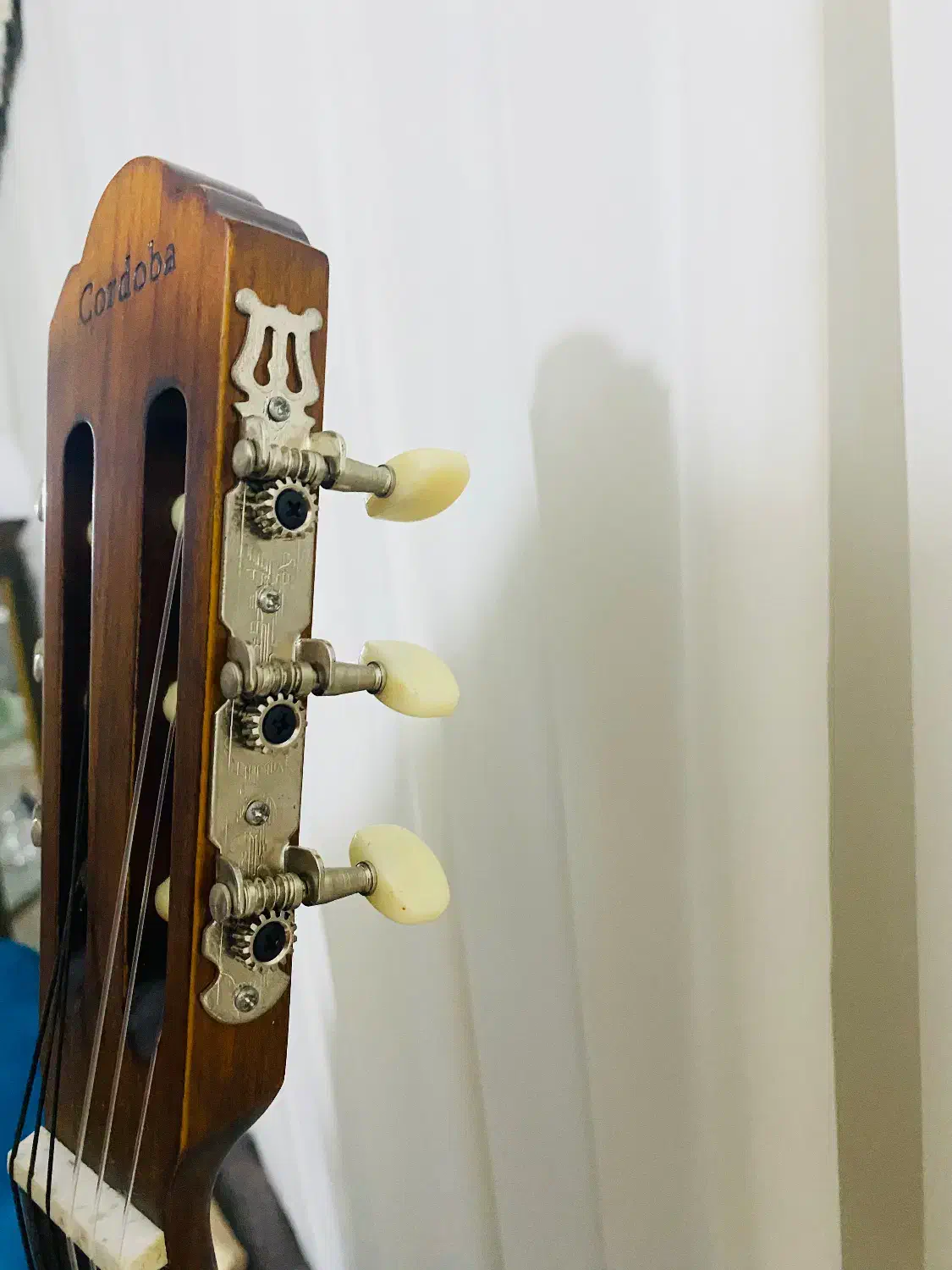 فروش گیتارCordoba|گیتار، بیس، امپلیفایر|بندرعباس, |دیوار