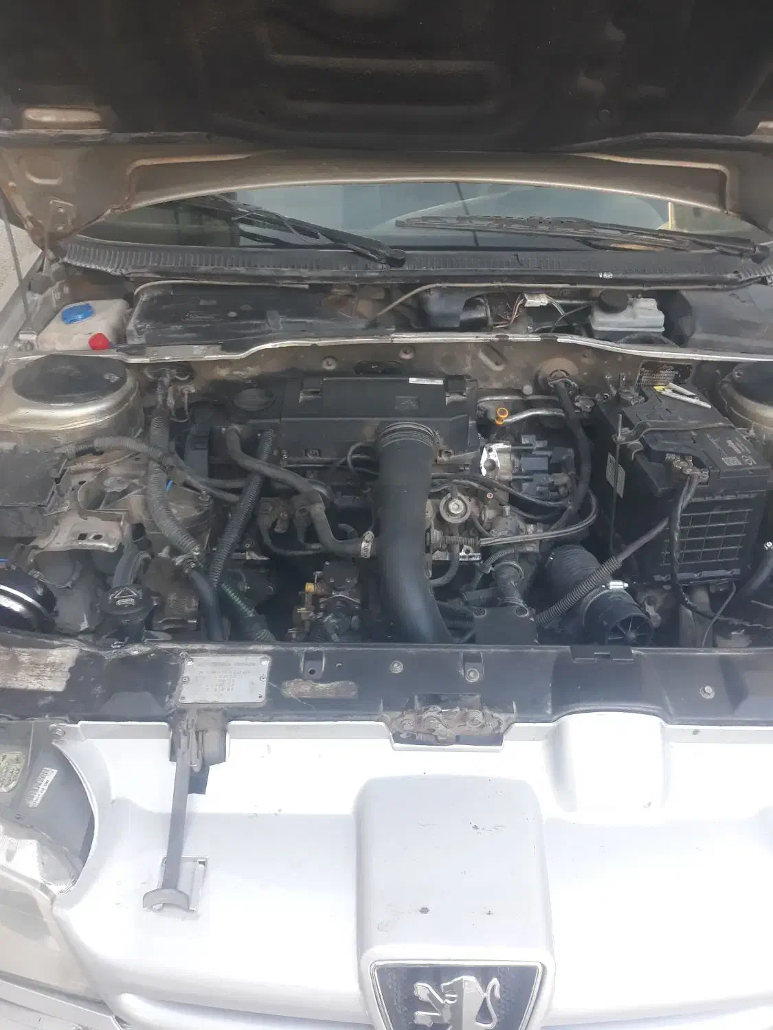 پژوپارس مدل ۷۹|خودرو سواری و وانت|سنندج, |دیوار