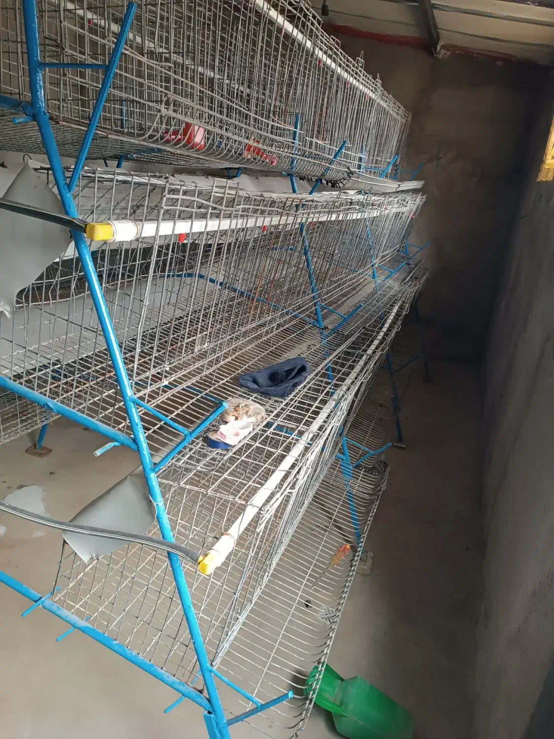 فروش قفس مرغ تخمگذار|لوازم جانبی حیوانات|خواجه, |دیوار