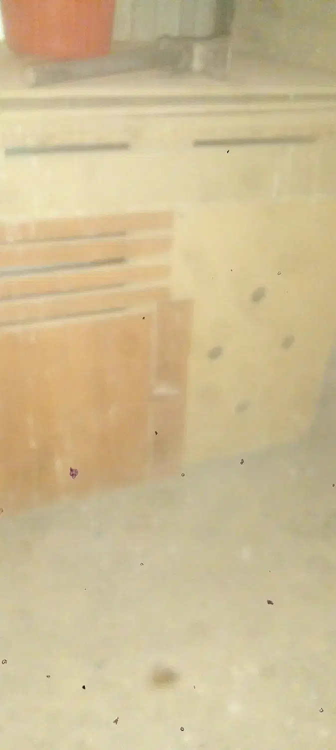 خانه سگ|لوازم جانبی حیوانات|خمینیشهر, |دیوار