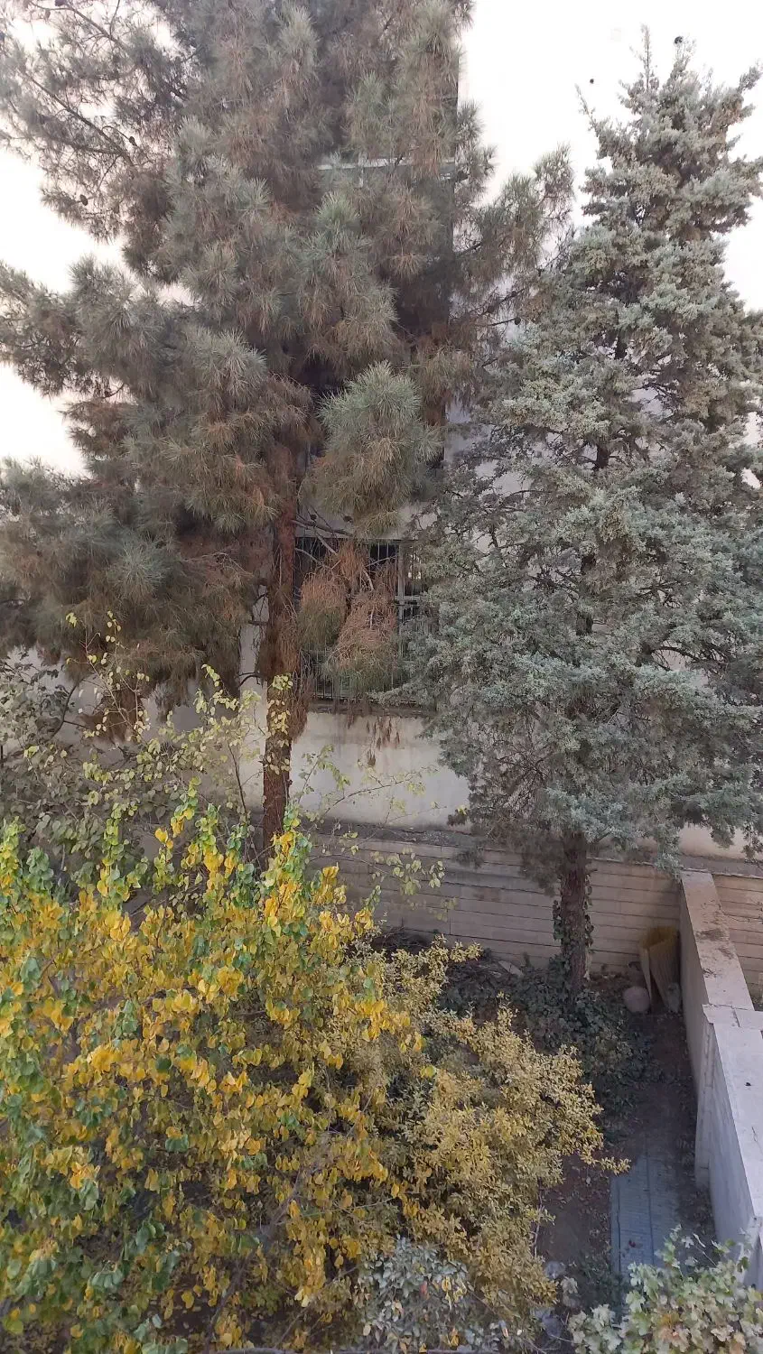 عظیمیه ویلایی ۱۳۰ متری ۳ خواب  بازسازی شده|اجارهٔ آپارتمان|کرج, عظیمیه|دیوار