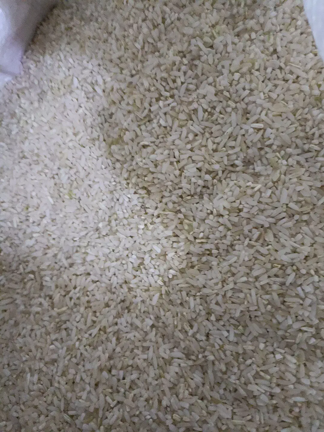 برنج نمیدانه|خوردنی و آشامیدنی|میانه, |دیوار