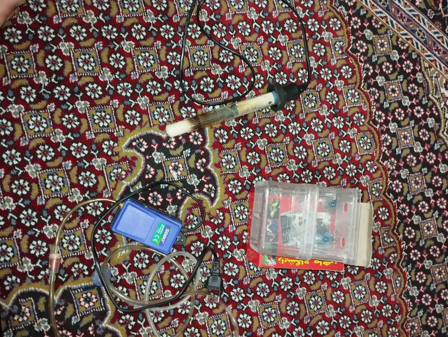 اکواریوم شیشه خم|ماهی|رباط‌کریم, شترخوار|دیوار