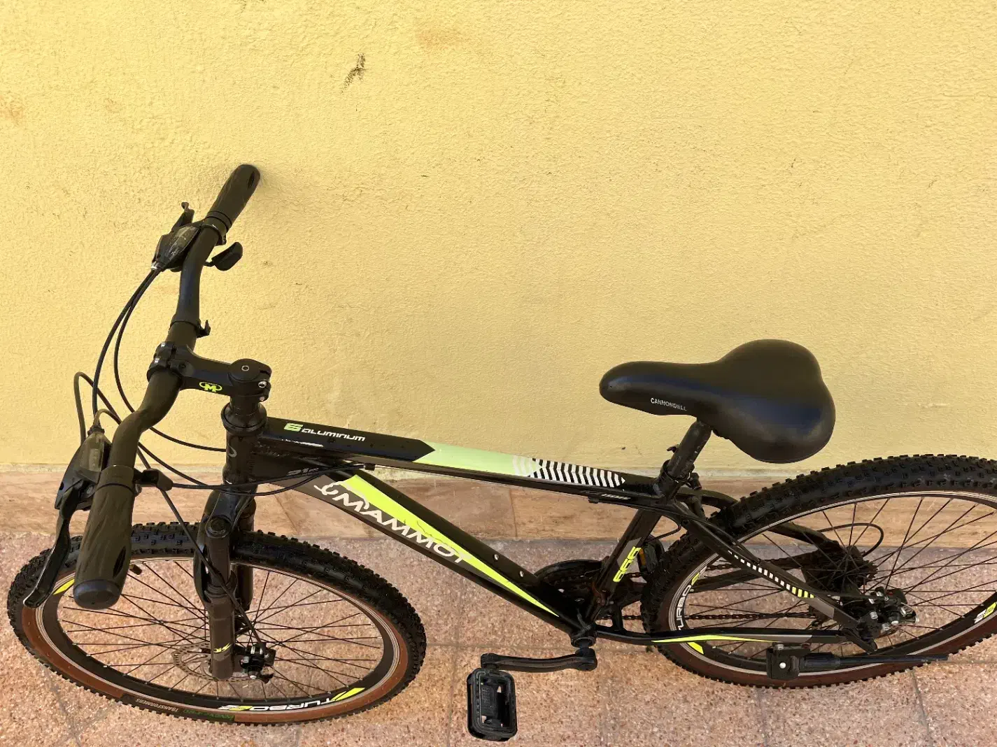 دوچرخه|دوچرخه، اسکیت، اسکوتر|کیش, |دیوار