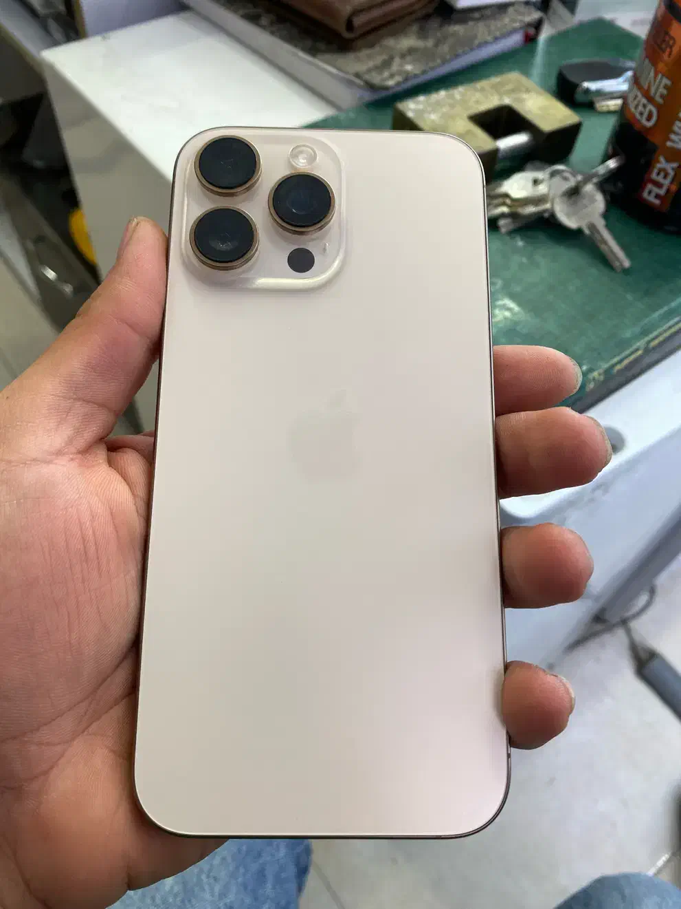 16promax512G|موبایل|صدرا-فارس, فاز ۱|دیوار