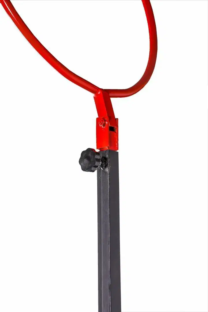 حلقه پاسوری|ورزشهای توپی|تهران, منیریه|دیوار