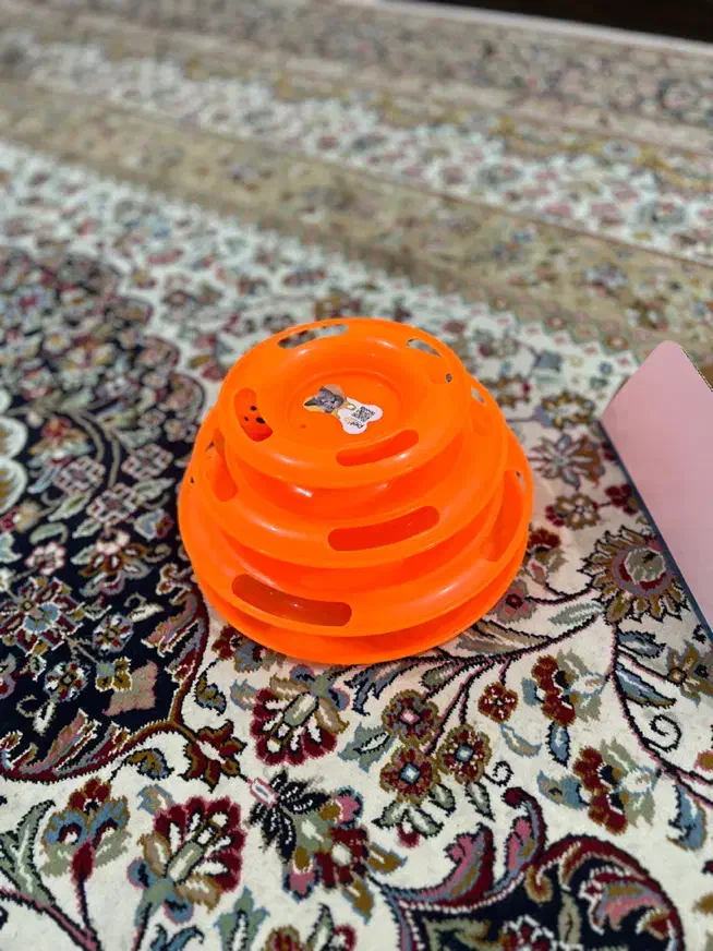 اسباب بازی گربه|لوازم جانبی حیوانات|ارومیه, |دیوار