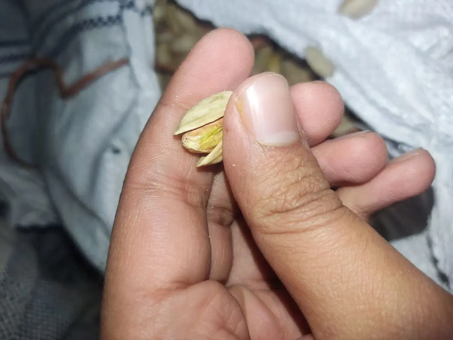 پستهی اکبری|خوردنی و آشامیدنی|خاتم, |دیوار