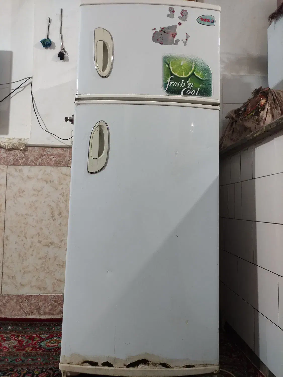 یخچال|یخچال و فریزر|قم, شهر قائم|دیوار