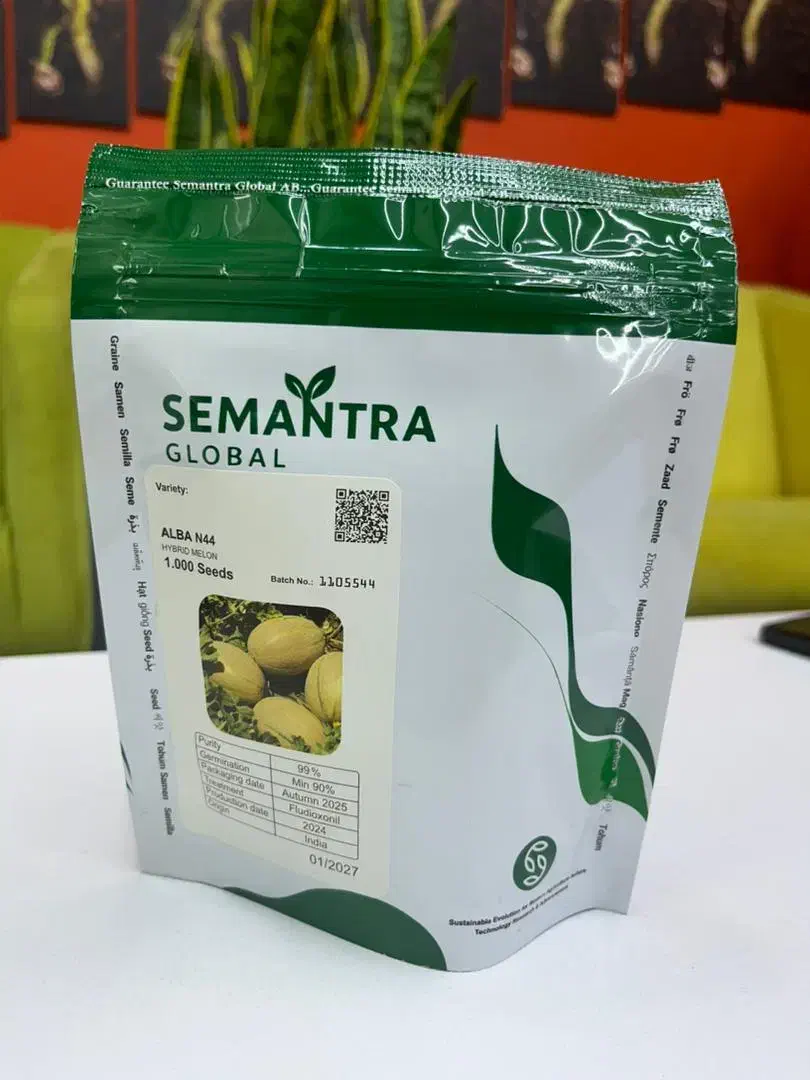 بذر ملون جانا خربزه|خدمات باغبانی و درختکاری|تهران, ونک|دیوار