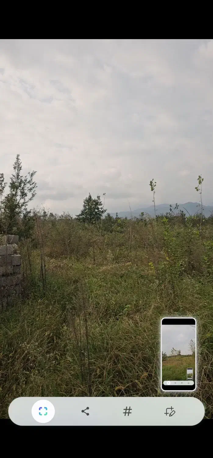 7700 متر زمین باغی مناسب گلخانه رودسر شکرپس|فروش زمین و ملک کلنگی|املش, |دیوار