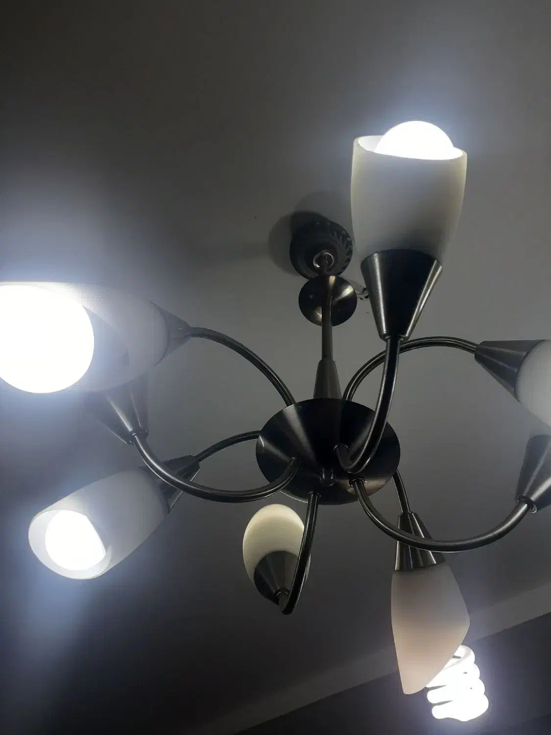 لوستر8شاخه استیل|لوستر و چراغ آویز|رشت, پستک|دیوار