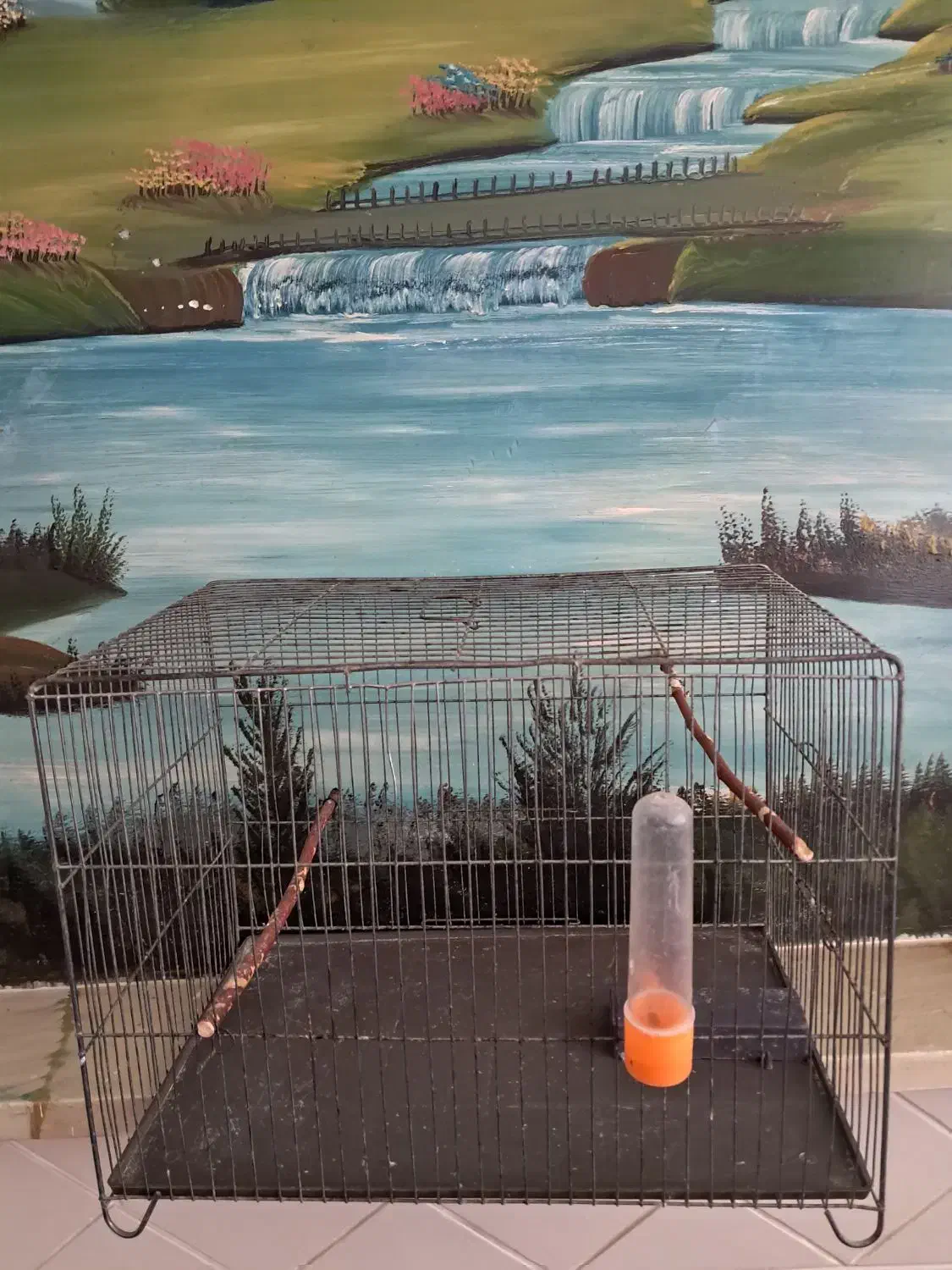 قفس پرنده|لوازم جانبی حیوانات|نظرآباد, نظرآباد|دیوار