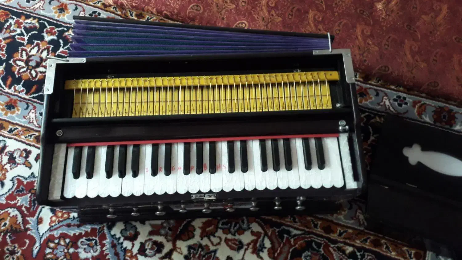 هارمونیه بینا درحدنو|پیانو، کیبورد، آکاردئون|برخوار, |دیوار