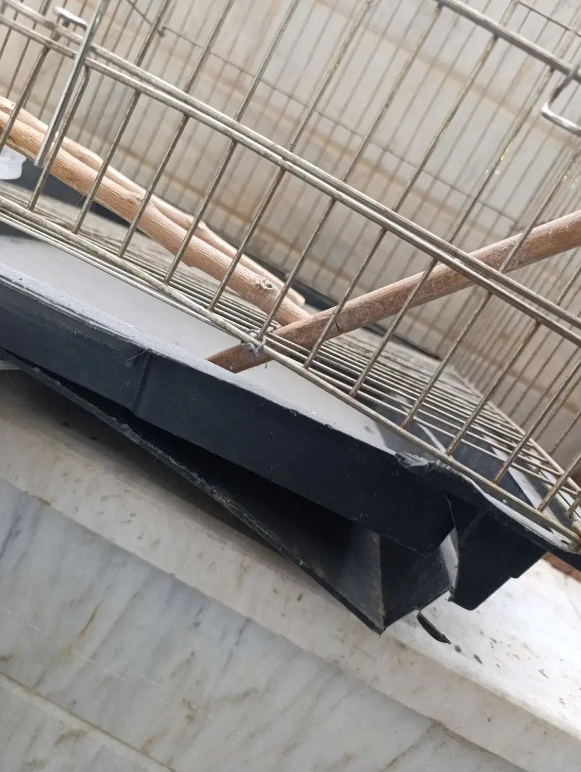 قفس بزرگ|لوازم جانبی حیوانات|قم, باغ کرباسی|دیوار