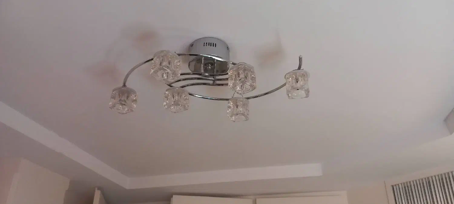 دوتا لوستر سالم|لوستر و چراغ آویز|تهران, درختی|دیوار