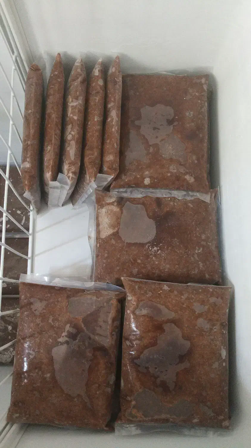 بیومس آرتمیا تولیدروز - غذای طبیعی حرفهای آبزیان|ماهی|اصفهان, آزادان|دیوار