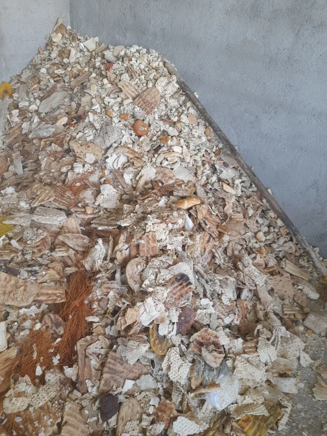 خریدار ضایعات در شاهرود،و حومه با بالاترین قیمت|خدمات پیشه و مهارت|شاهرود, |دیوار