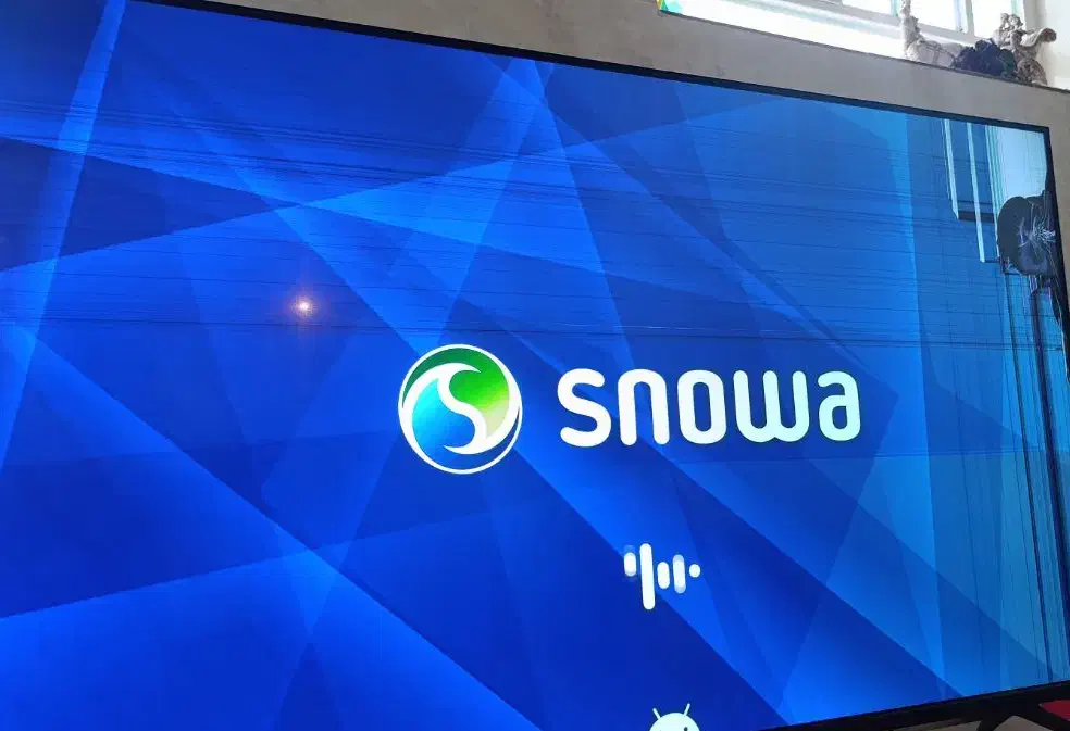 تلویزیون 55 اسنوا|تلویزیون و پروژکتور|فسا, |دیوار