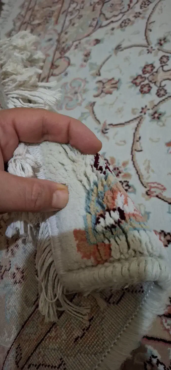 فرش یک در یکونیم|فرش|اردبیل, |دیوار