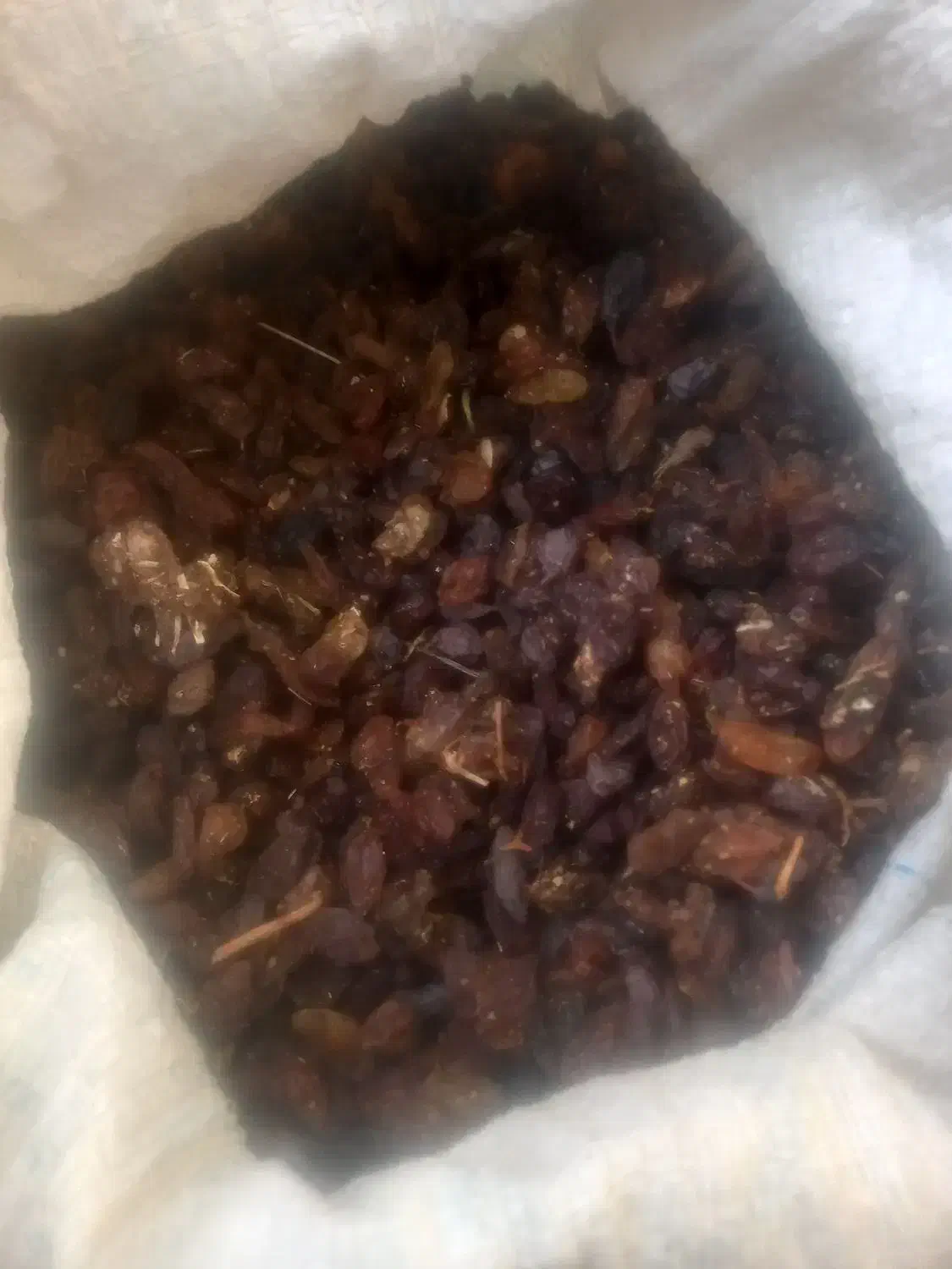 کشمش آفتابی هر کیلو ۱۳۵۰۰۰۰|خوردنی و آشامیدنی|یزد, |دیوار