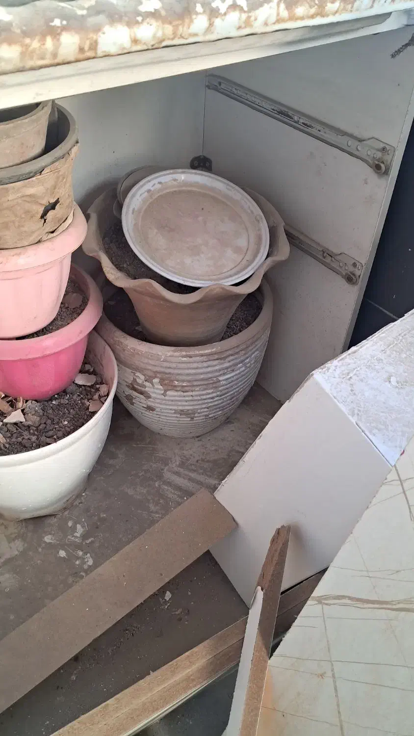 تعدادی گلدان|گل و گیاه طبیعی|تهران, شهرک آسمان|دیوار