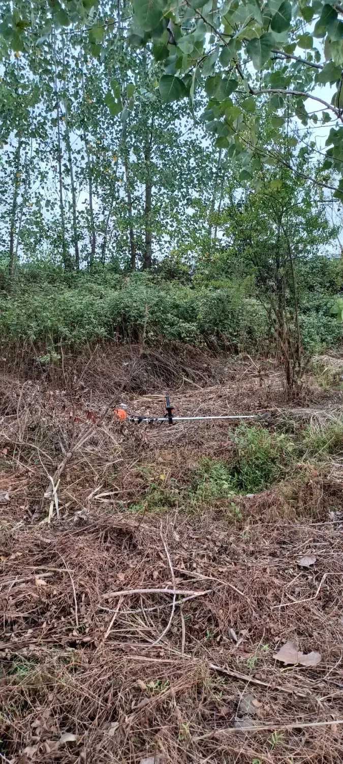 تمیز کردن زمین|خدمات باغبانی و درختکاری|لنگرود, |دیوار