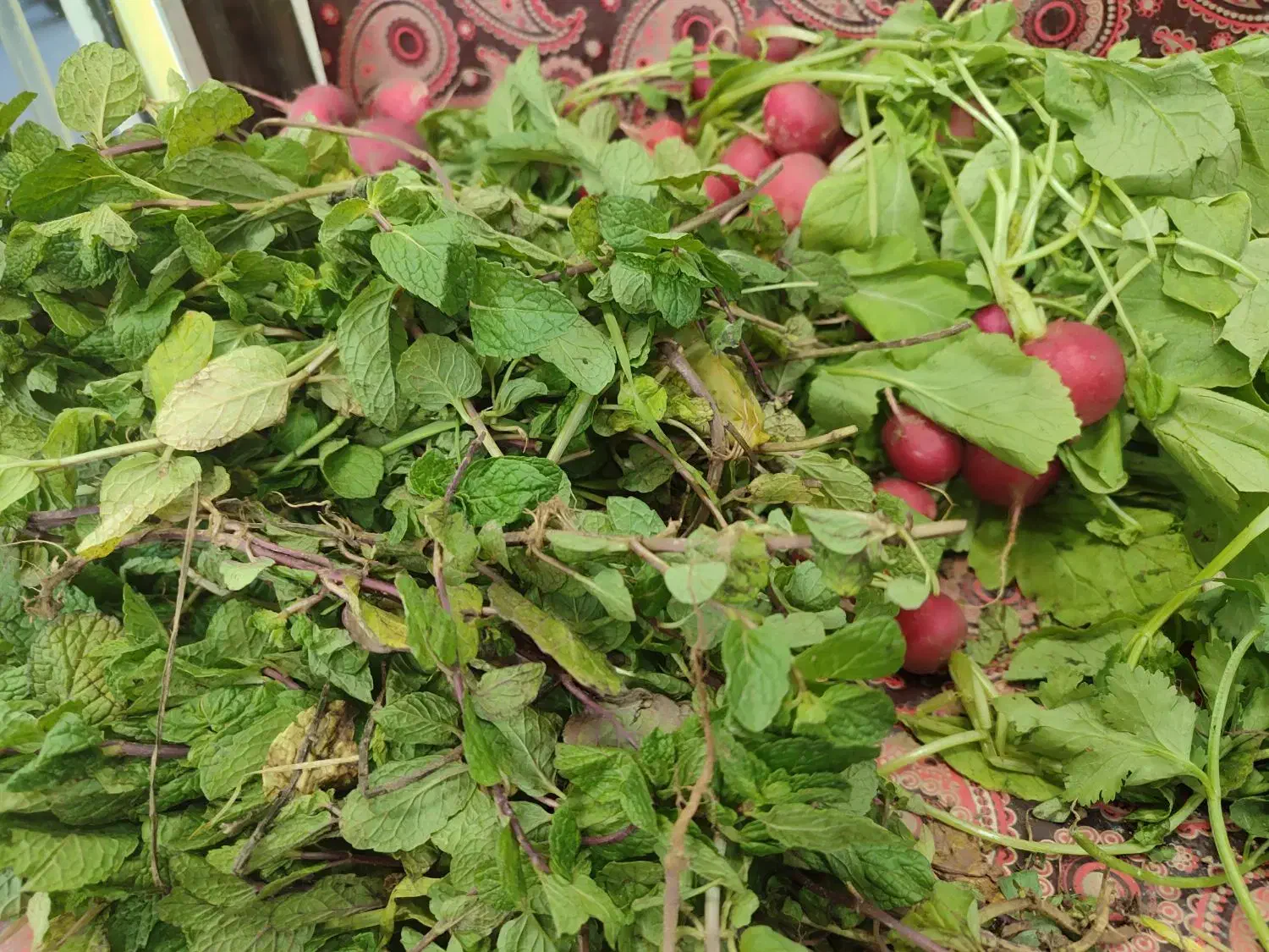 به یک نفر جهت کار در مغازه میوه فروشی نیازمندیم|استخدام خدمات فروشگاه و رستوران|تبریز, |دیوار