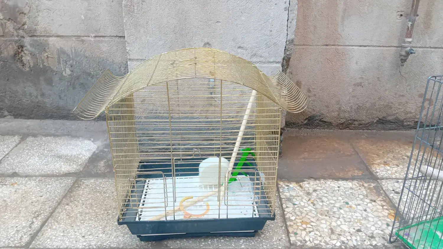 قفس پرنده|لوازم جانبی حیوانات|قم, ولیعصر|دیوار