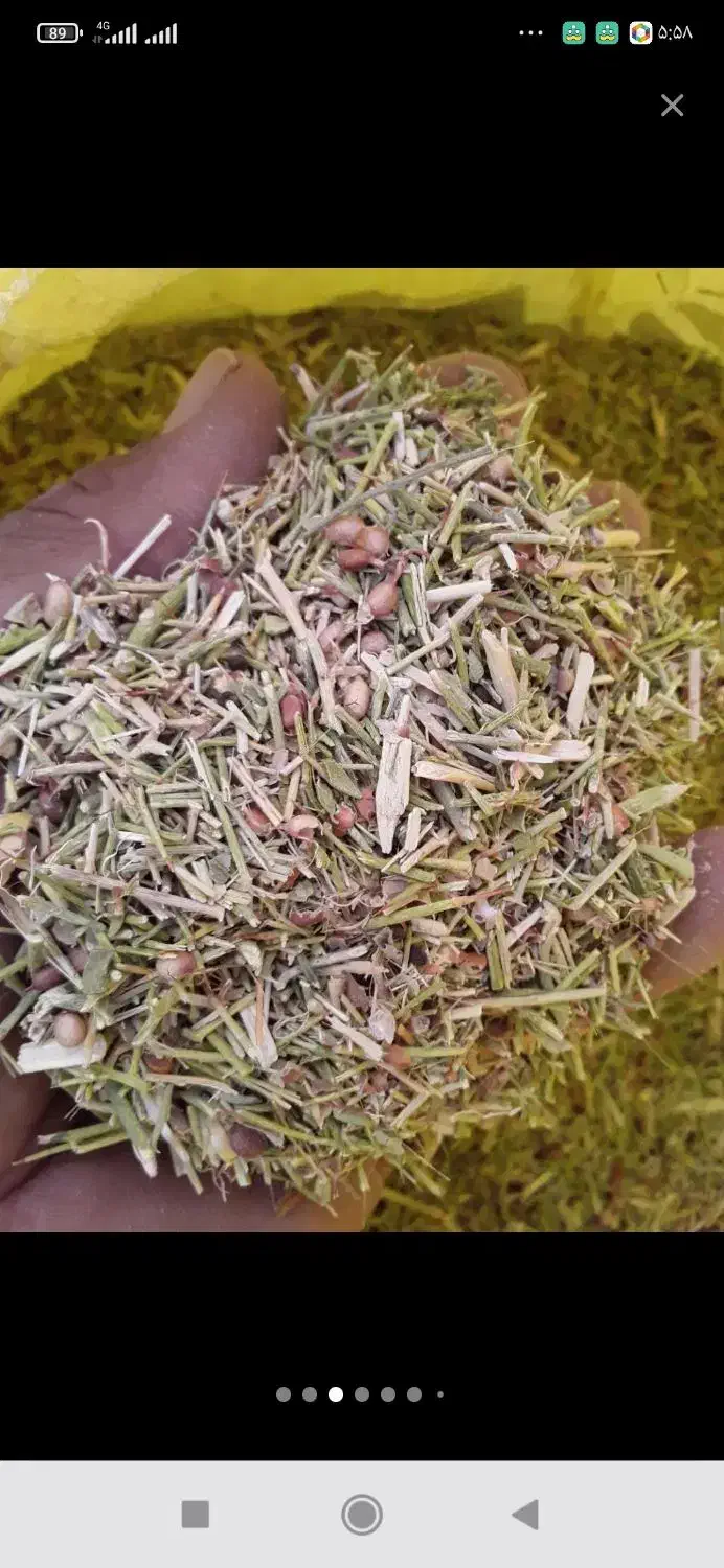 خار|لوازم جانبی حیوانات|رضویه, |دیوار