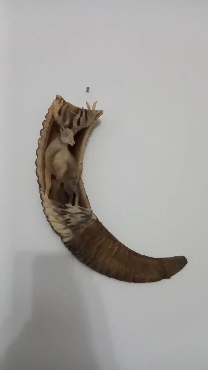 شاخ قوچ|کلکسیون اشیاء عتیقه|اراک, |دیوار