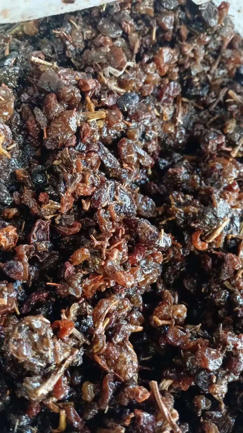 کشمش بیدانه سرکه ای|خوردنی و آشامیدنی|تاکستان, |دیوار