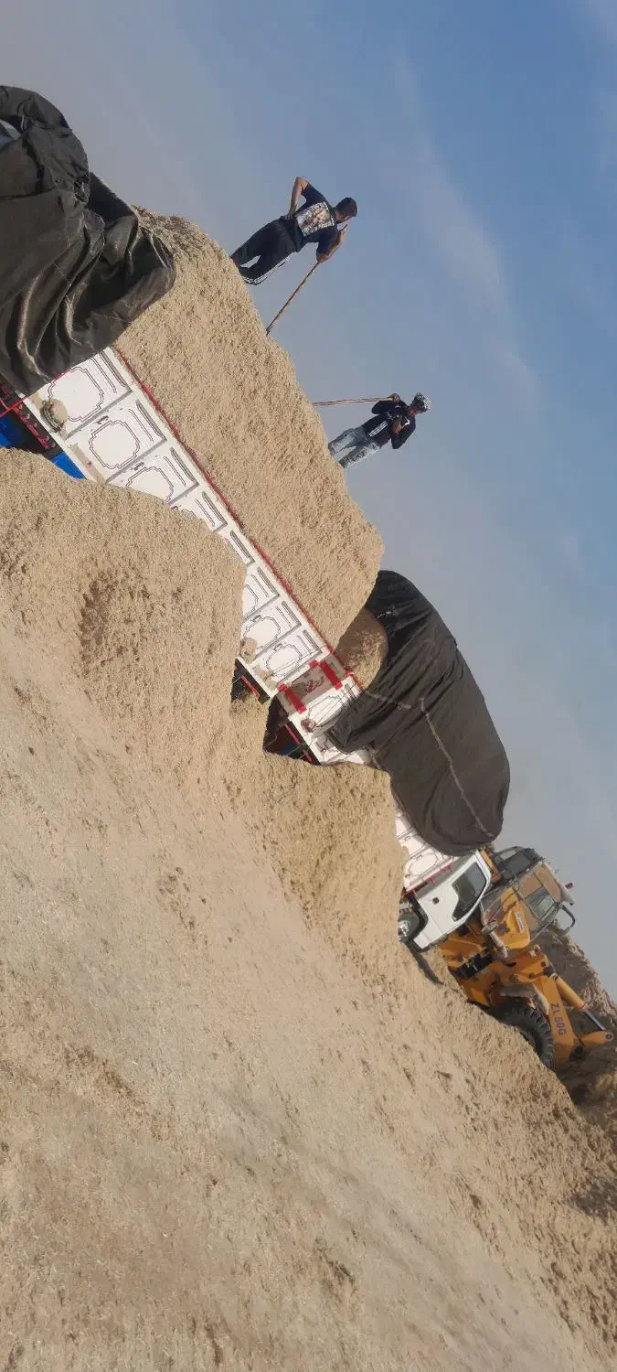 توفاله نیشکر|حیوانات مزرعه|بوئین زهرا, |دیوار