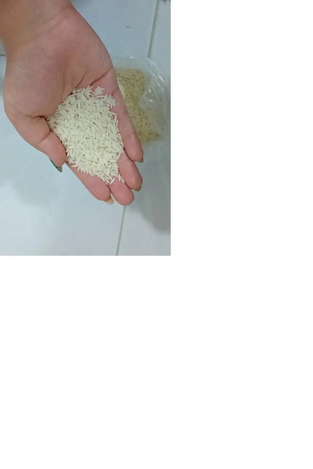 برنج هاشمی|خوردنی و آشامیدنی|رشت, حومه رشت|دیوار