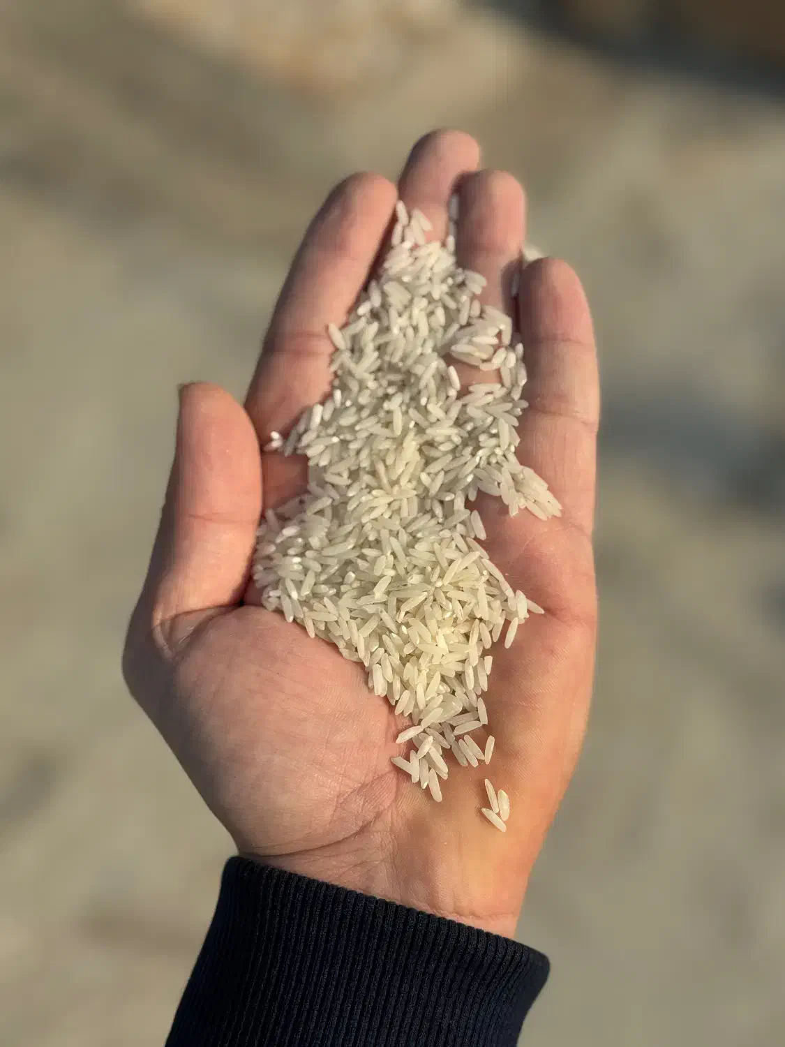 فروش برنج و نیم دانه بصورت ۱۰ کیلو مصارف خانگی|خوردنی و آشامیدنی|تهران, فلسطین (میدان انقلاب)|دیوار