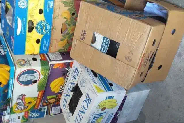 کارتون موز|عمده‌فروشی|بومهن, |دیوار