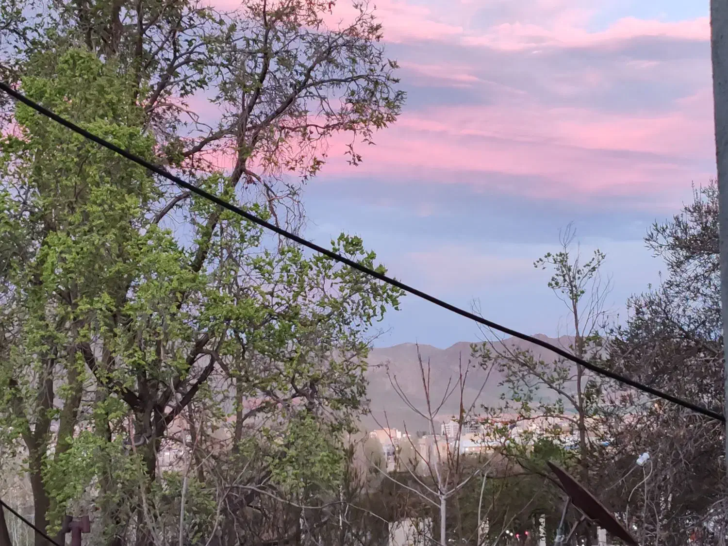 آگهی گمشده|اشیا|مهاباد (آذربایجان غربی), |دیوار