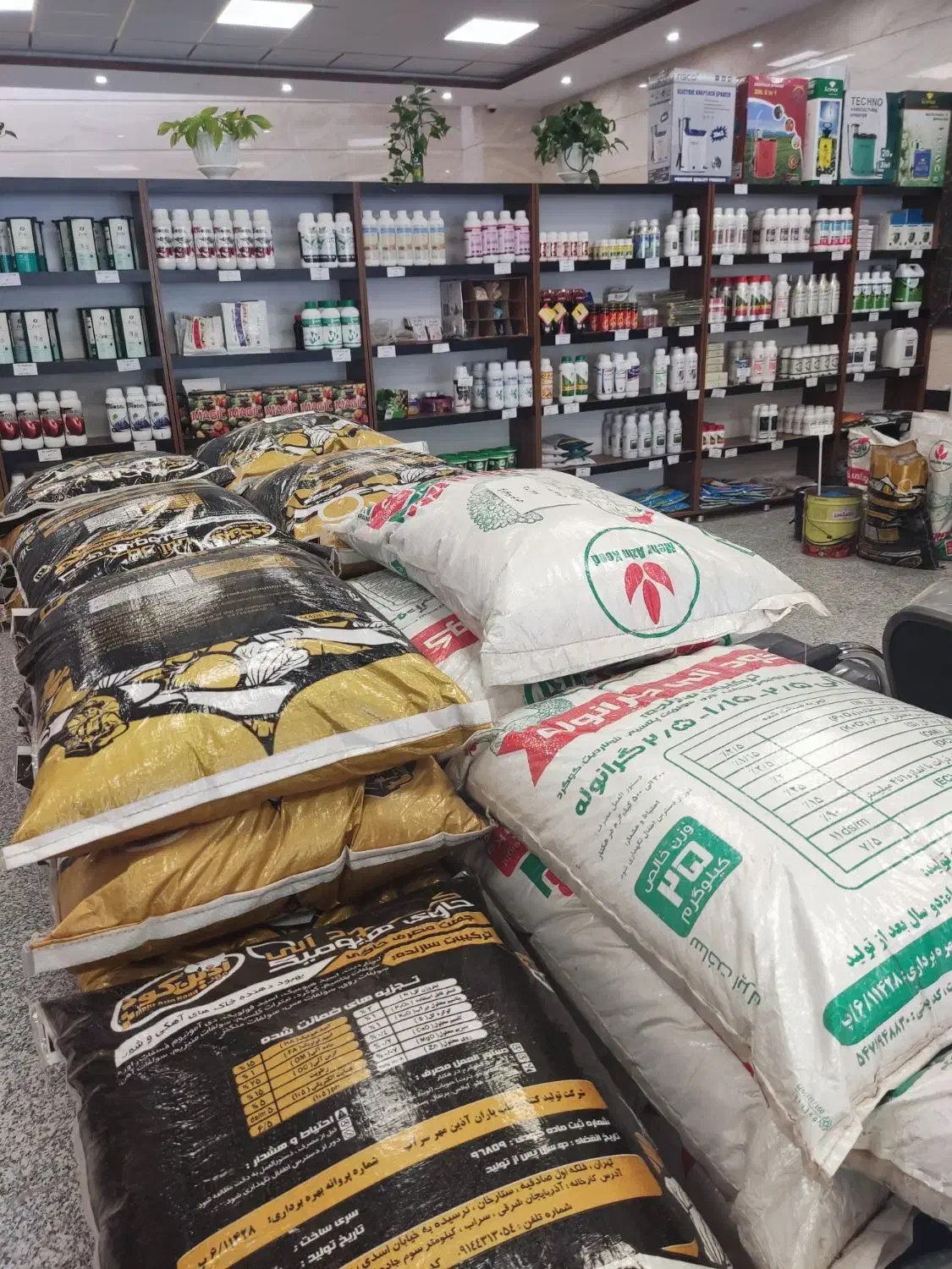 فروش ویژه چالکود زمستانه تا ۲۰ ٪ تخفیف|خدمات باغبانی و درختکاری|نجفآباد, جعفرآباد|دیوار