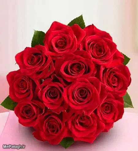 استخدام حسابدار،کمک انباردار،آشپز ونیروی ساده|استخدام مالی، حسابداری، حقوقی|بهار, |دیوار