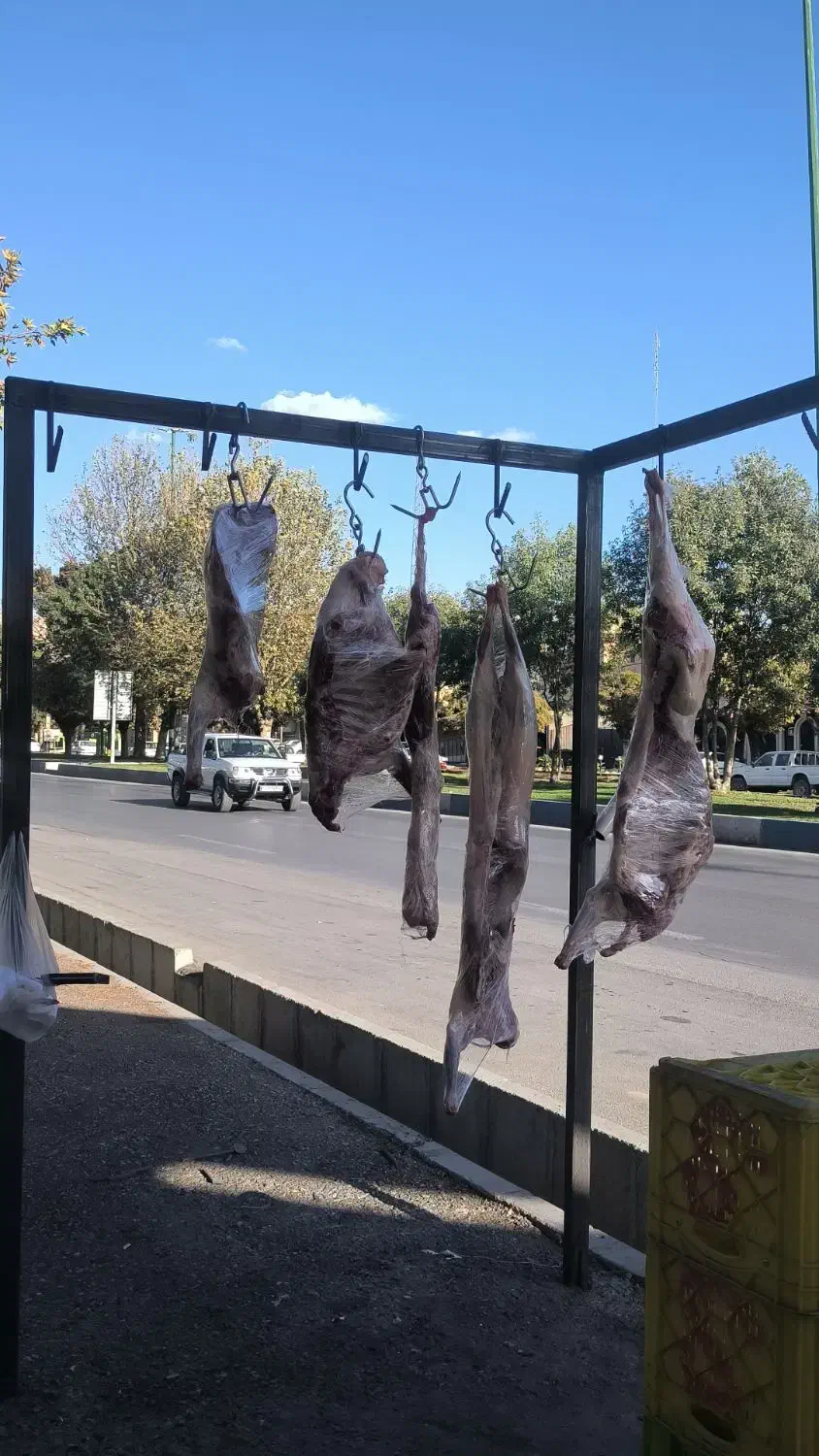 گوشت بزغاله و بره|خوردنی و آشامیدنی|ایلام, |دیوار