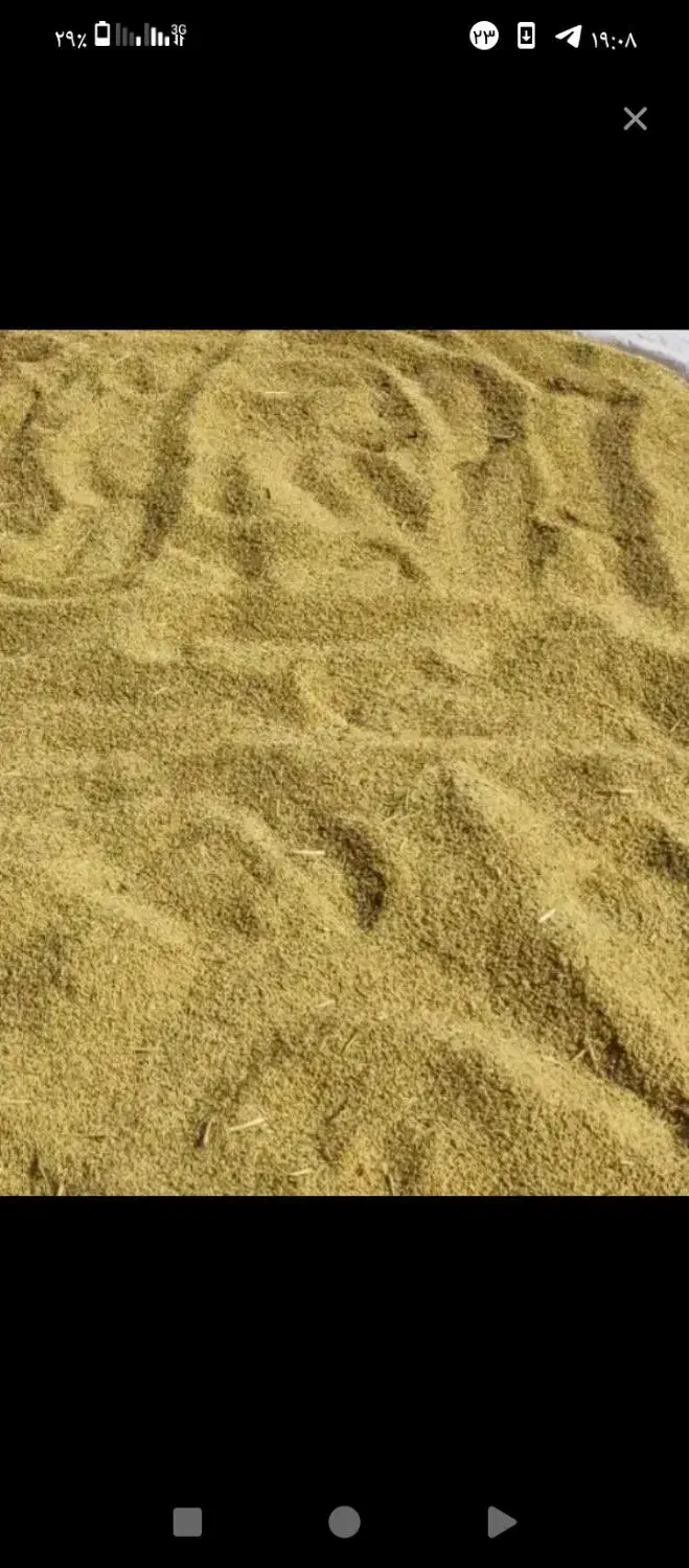 فروش فوری چلتوک|خوردنی و آشامیدنی|رامهرمز, |دیوار