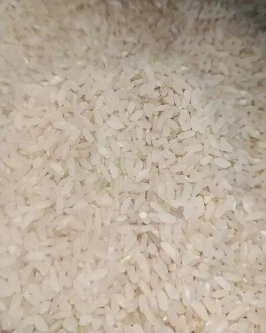 برنج کامفیروز|خوردنی و آشامیدنی|درودزن, |دیوار