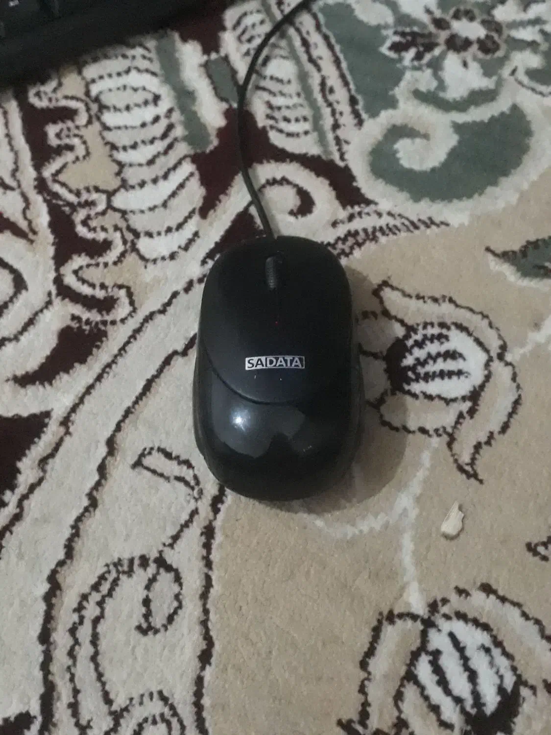 موس نو|قطعات و لوازم جانبی رایانه|زاهدان, |دیوار