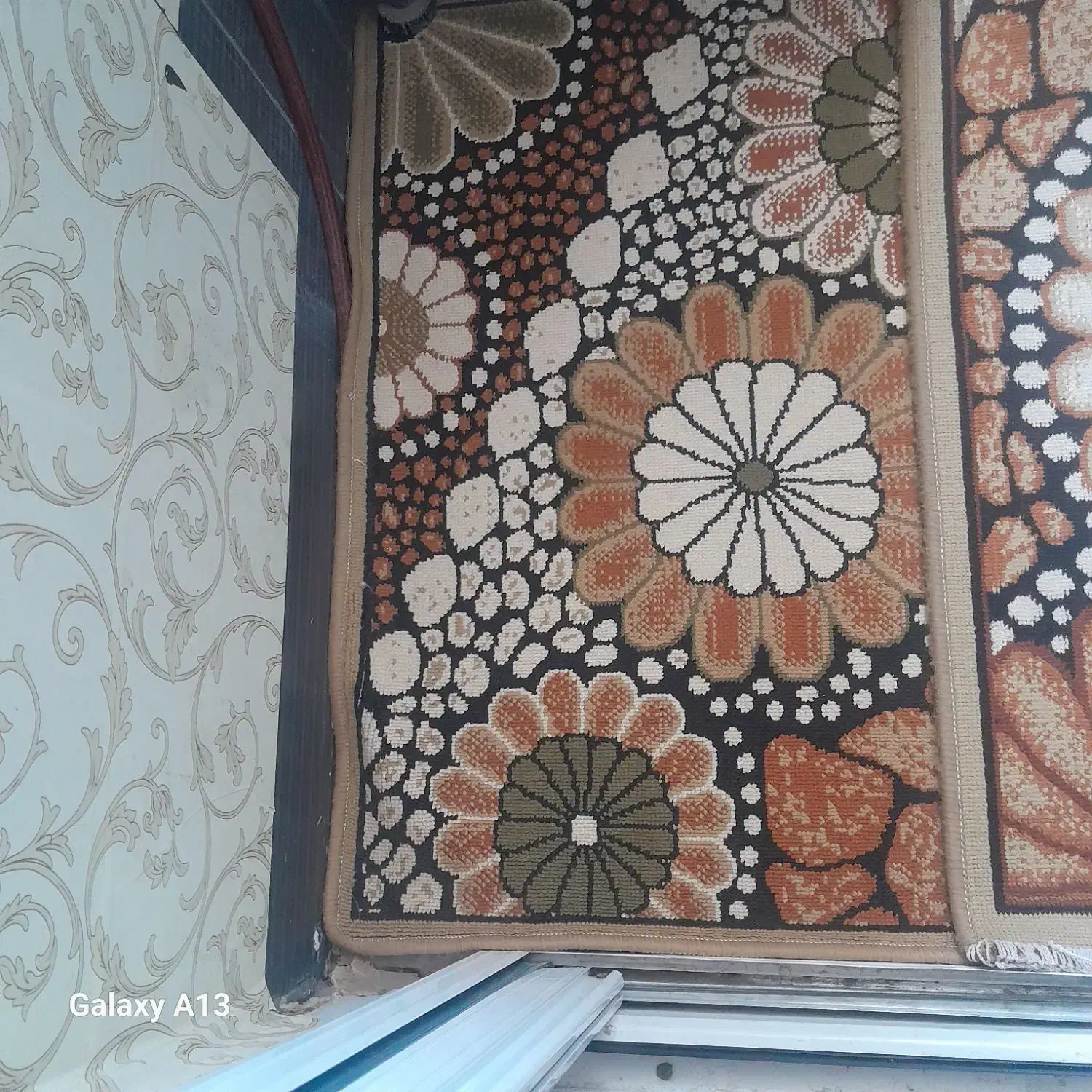 قالیچه همه آگهی|گلیم، جاجیم، گبه|قم, پردیسان|دیوار