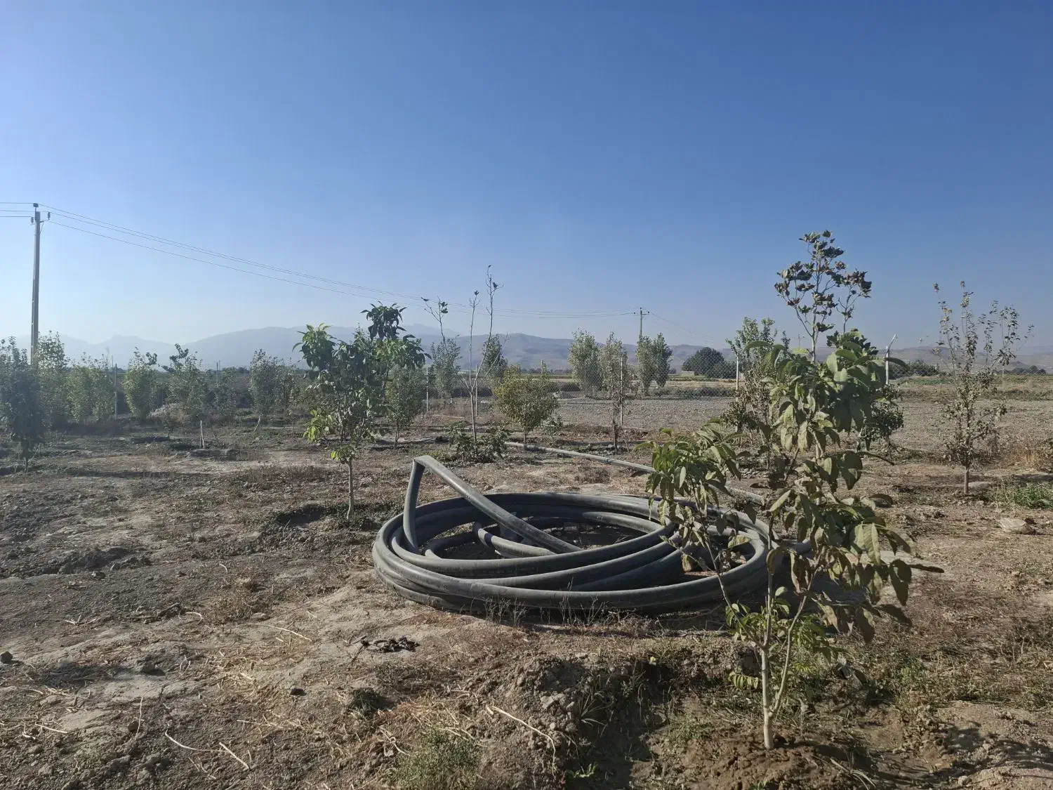 فروش باغ شهری|فروش خانه و ویلا|فیروزآباد (فارس), |دیوار