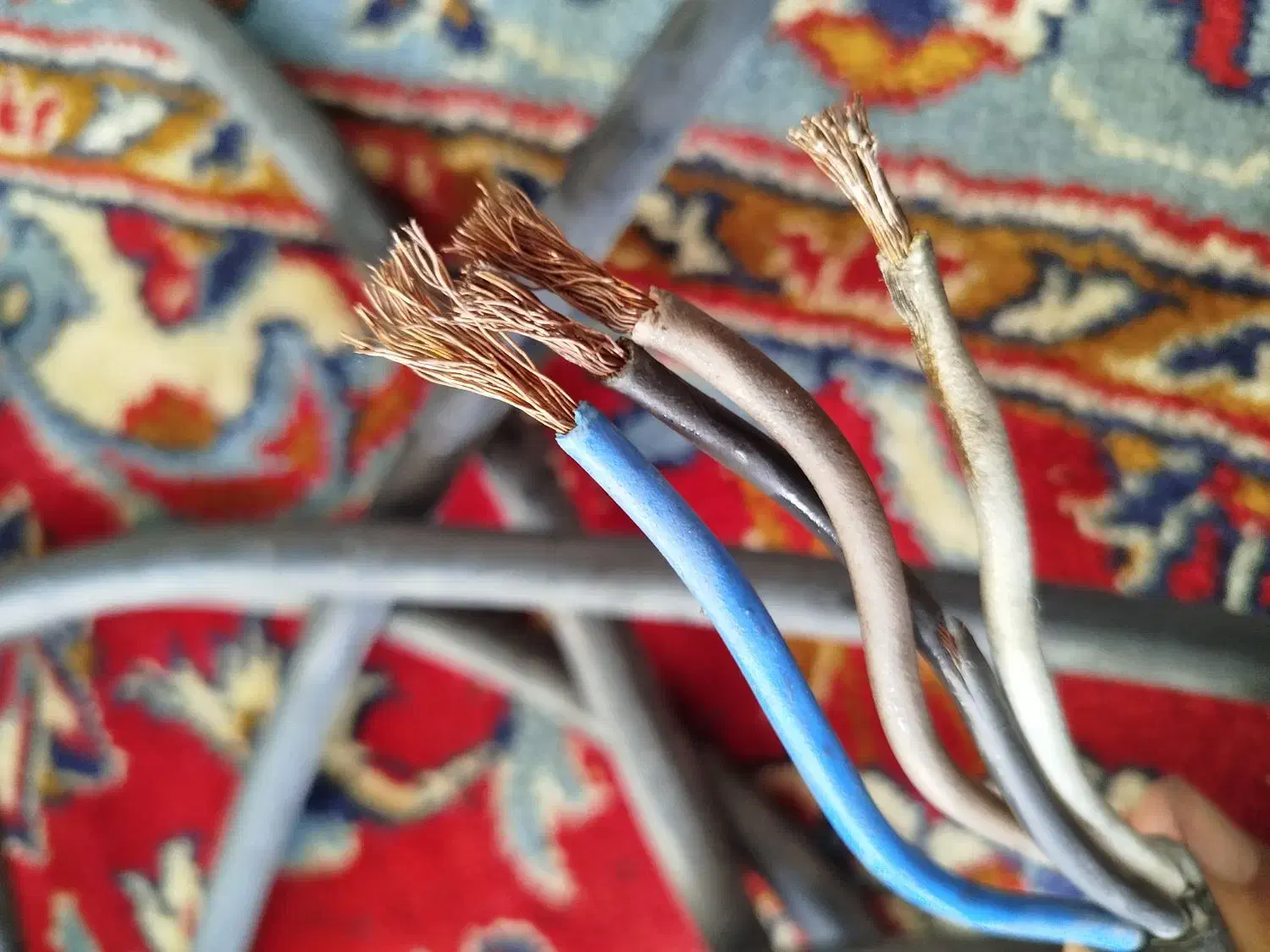 آشیاعه اطیقه|کلکسیون اشیاء عتیقه|سبزوار, قائم|دیوار