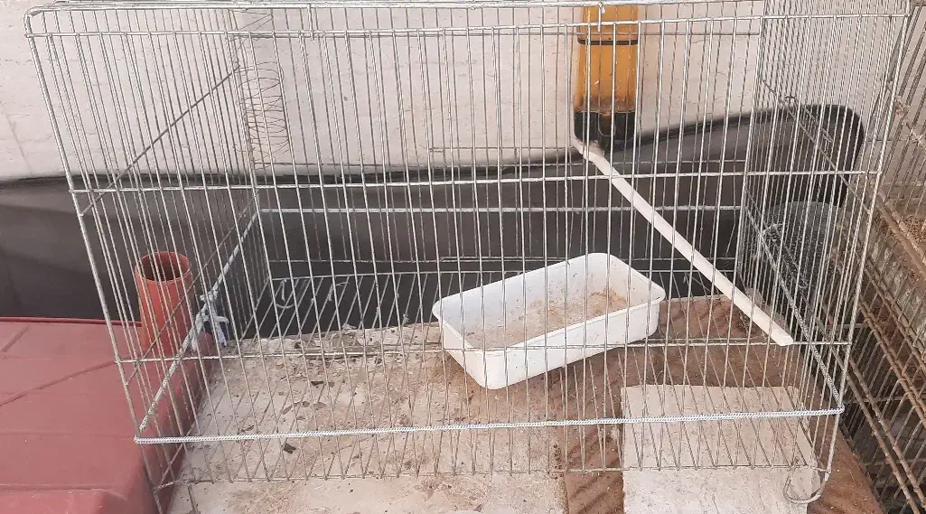 قفس|لوازم جانبی حیوانات|اهواز, کوی صنایع|دیوار